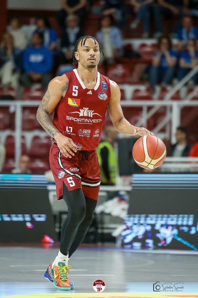 shark33