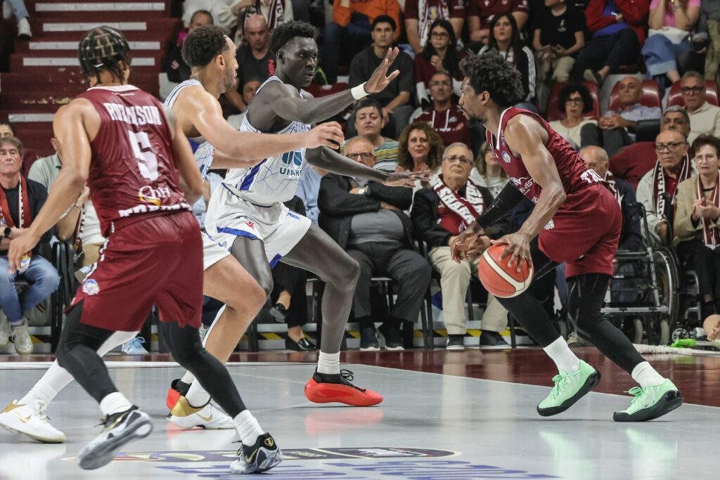 sharksportnews9